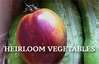 Heirloom Vegetables
